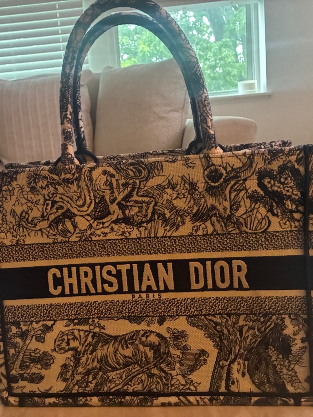 Christian Dior Medium Book Tote